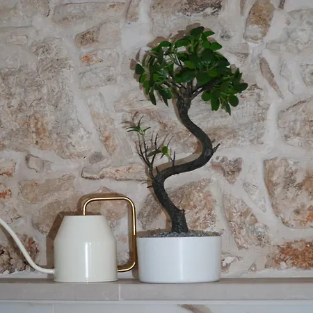 Dimora Di Sasso - Relax Ed Eleganza Nel Cuore Della Puglia * Santeramo in Colle